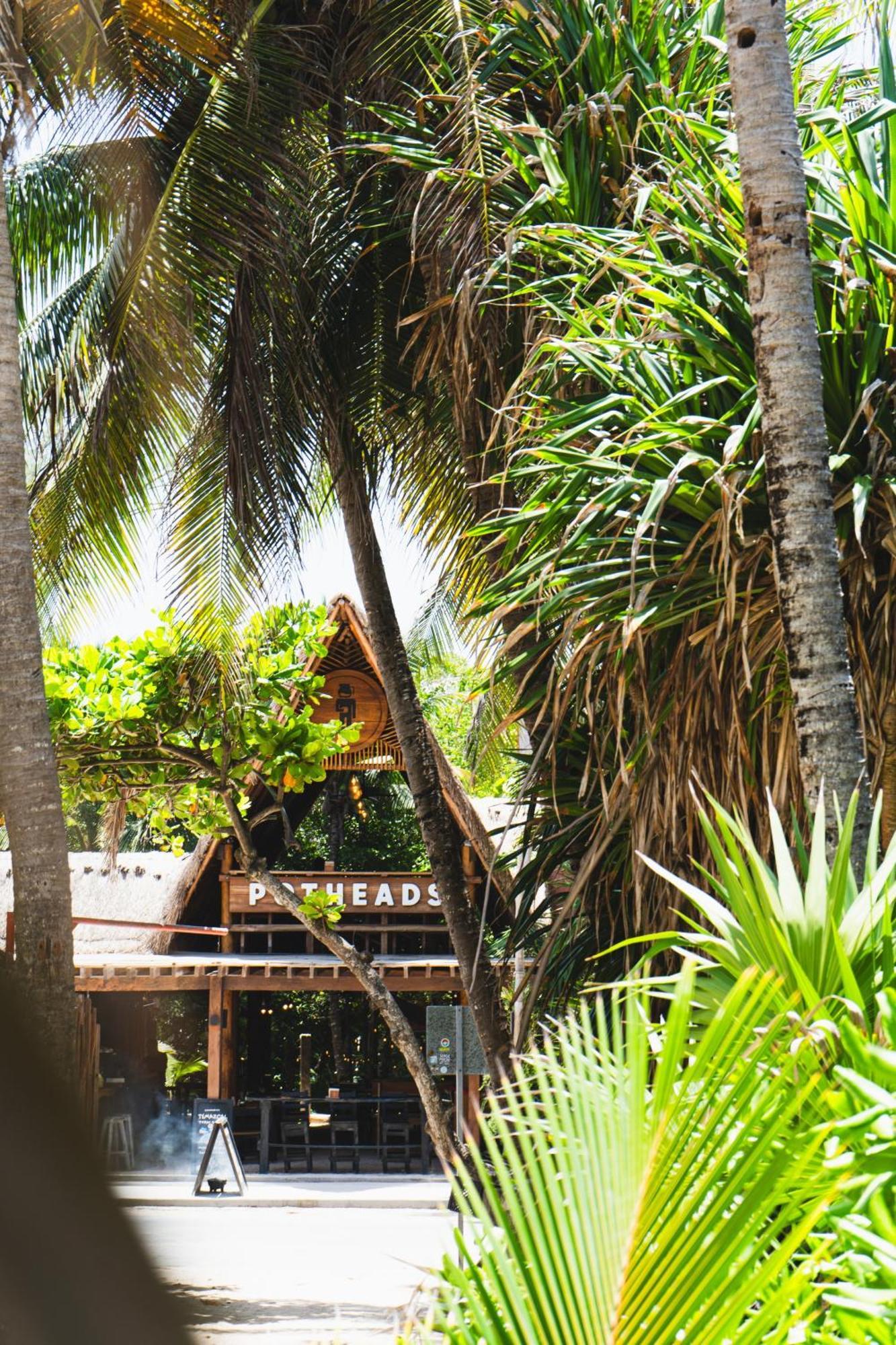 Tunich Jungle Cabanas トゥルム エクステリア 写真